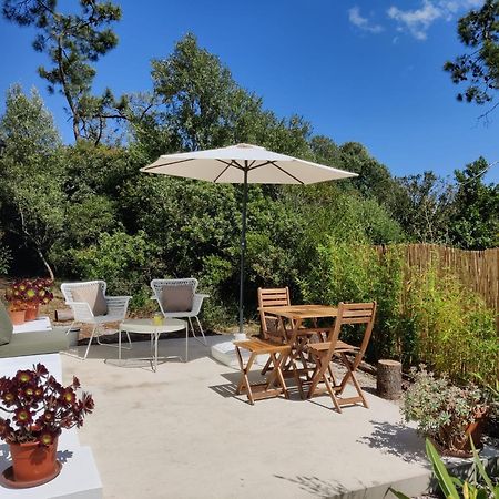 Quinta Do Alento Bed & Breakfast Sesimbra Ngoại thất bức ảnh