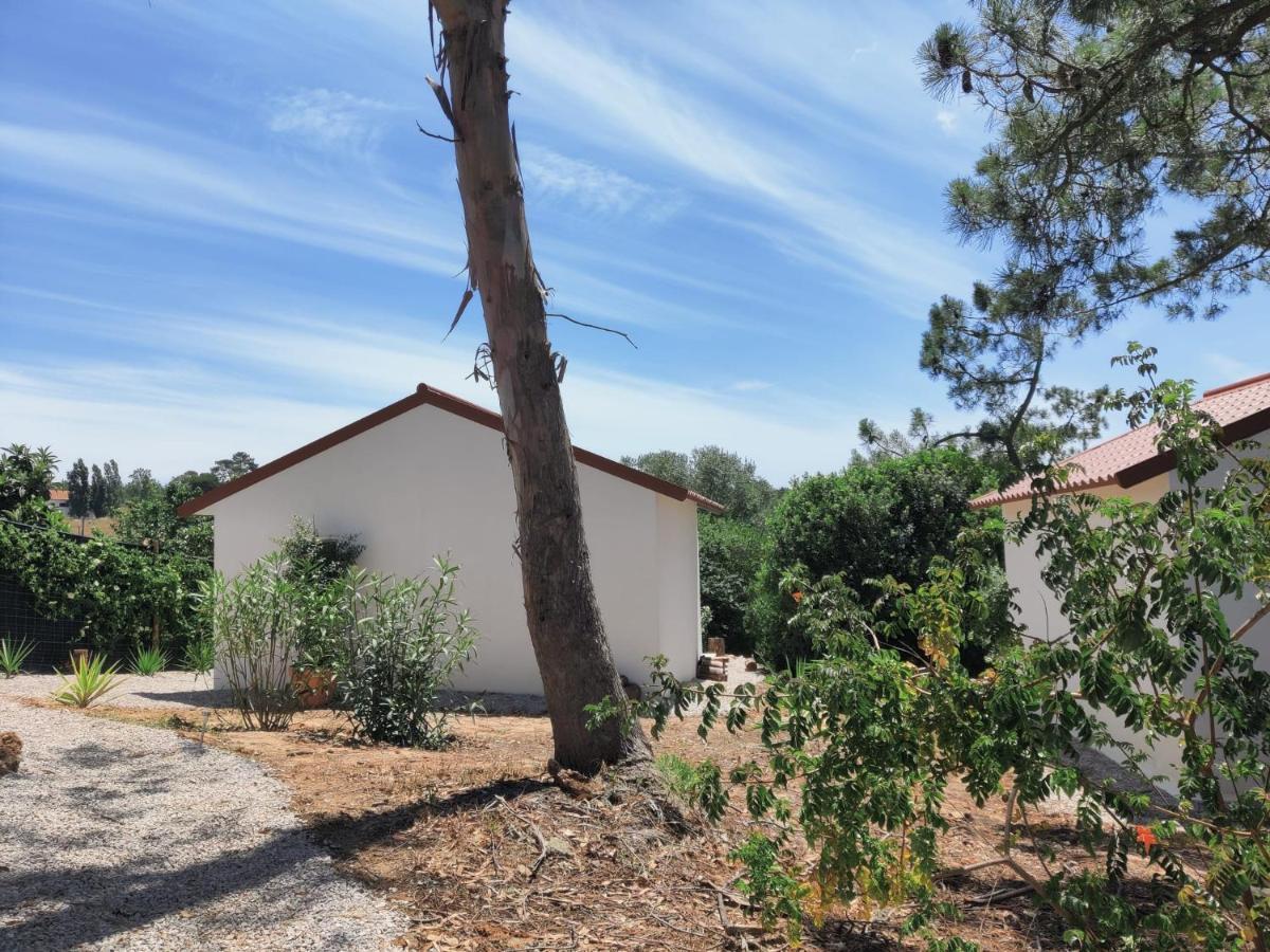Quinta Do Alento Bed & Breakfast Sesimbra Ngoại thất bức ảnh