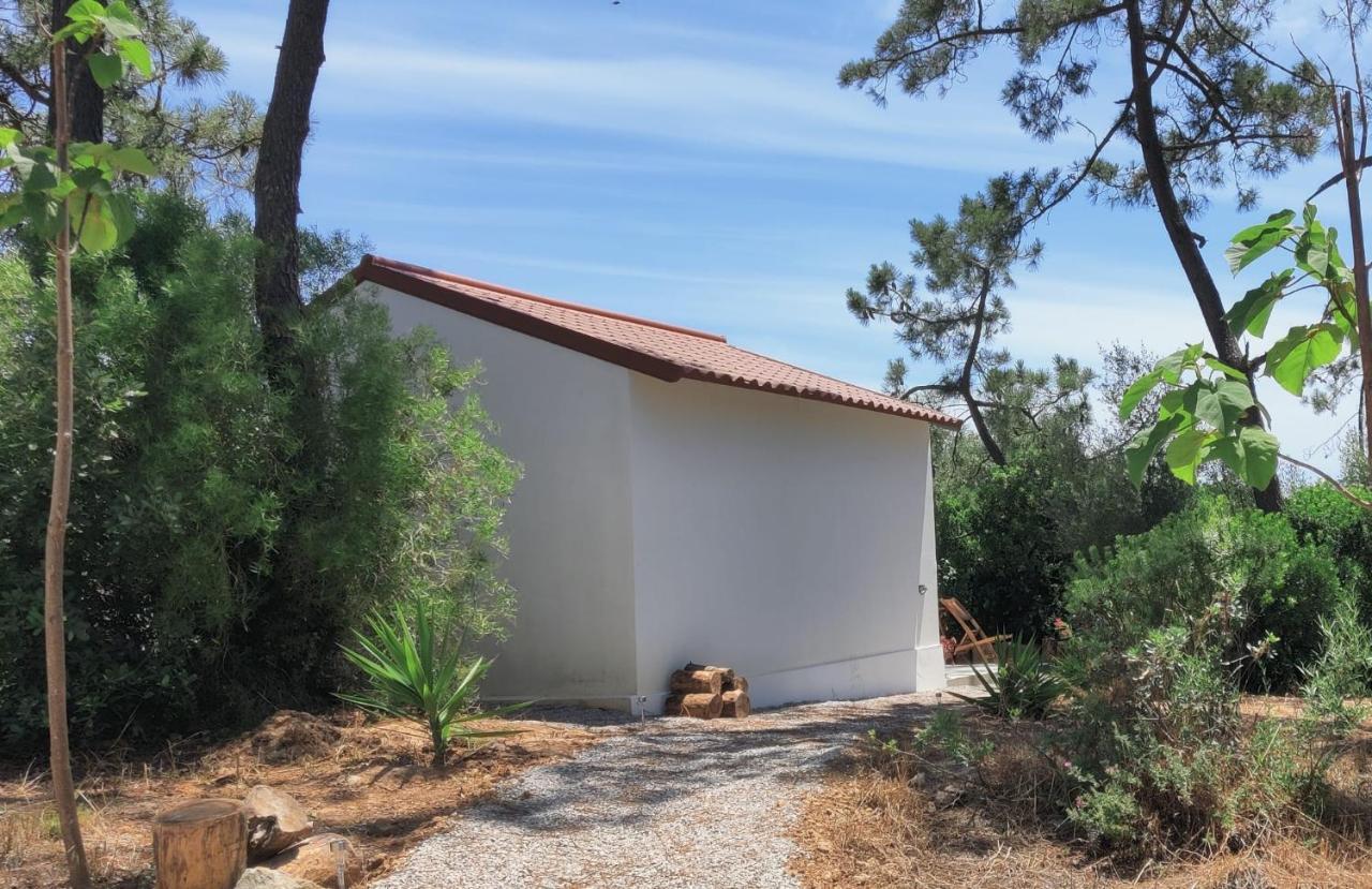 Quinta Do Alento Bed & Breakfast Sesimbra Ngoại thất bức ảnh