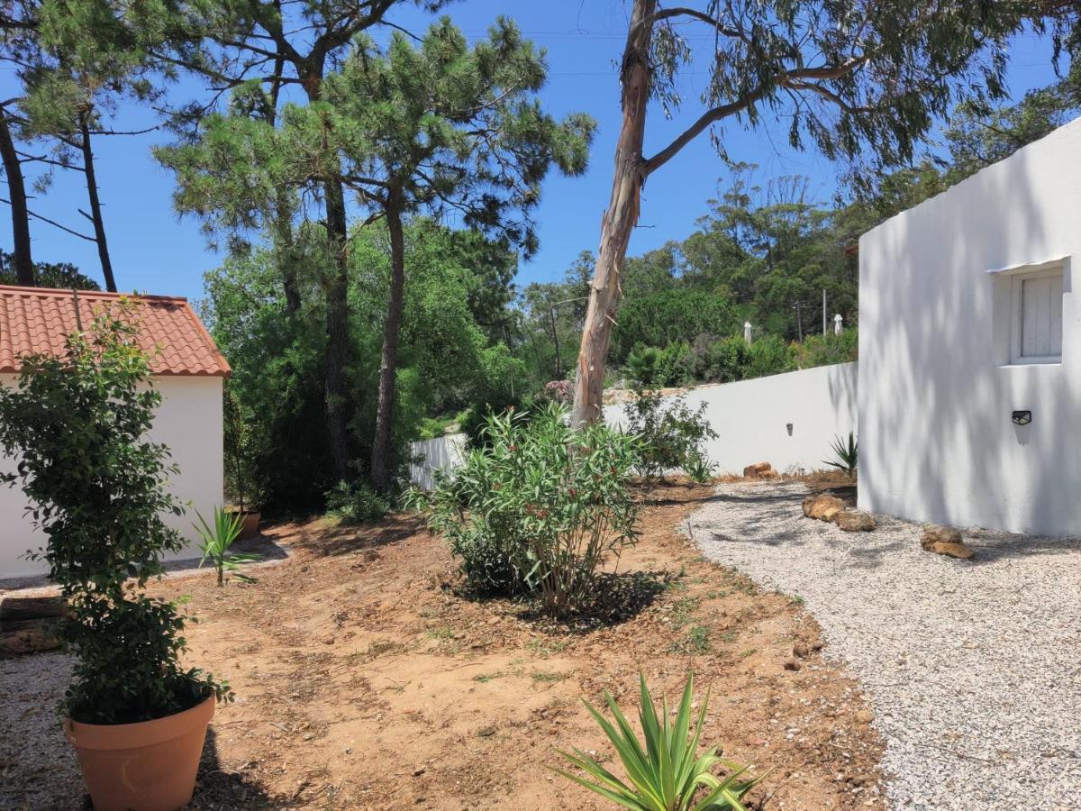 Quinta Do Alento Bed & Breakfast Sesimbra Ngoại thất bức ảnh